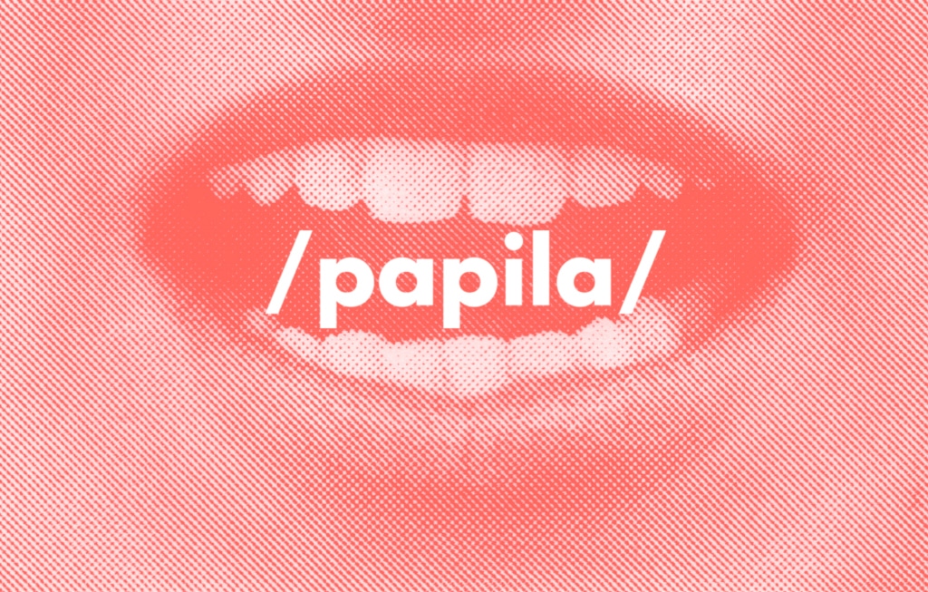 Papila