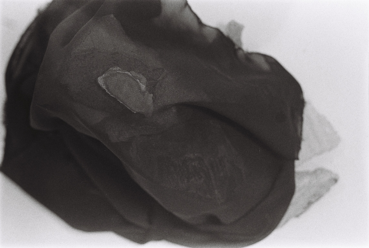 Mariana Milani image 3