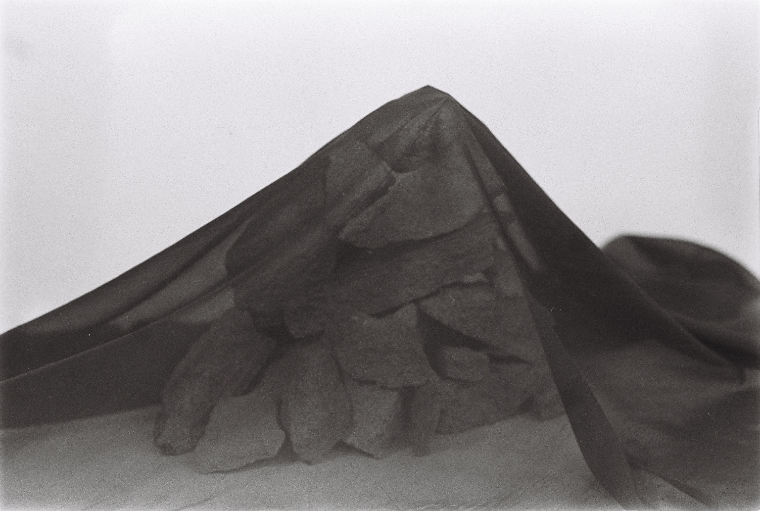 Mariana Milani image 2