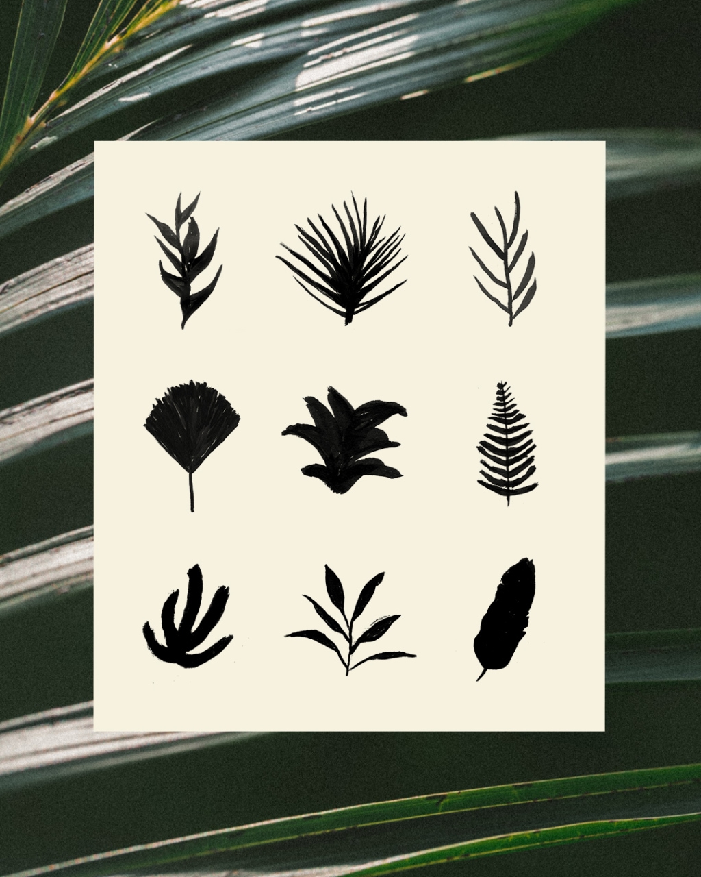 Quintal pelo mundo image 2