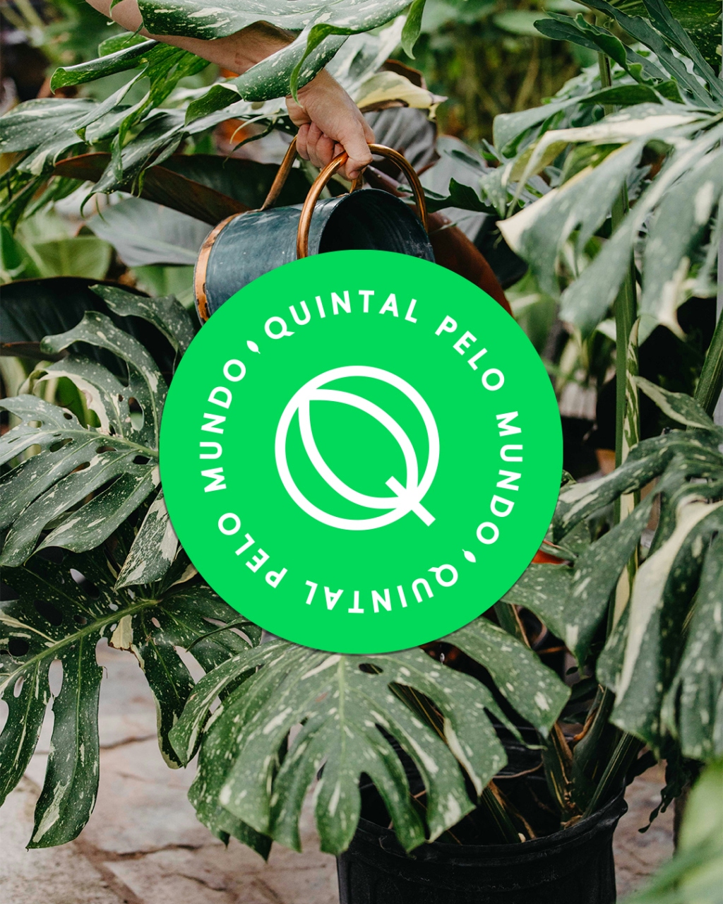 Quintal pelo mundo image 1